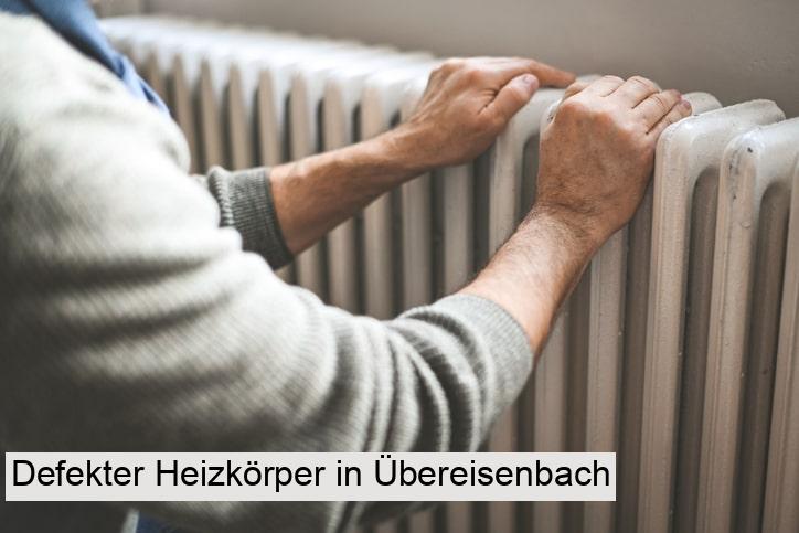 Defekter Heizkörper in Übereisenbach